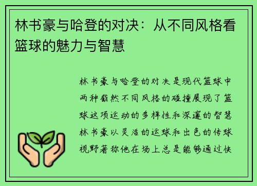 林书豪与哈登的对决：从不同风格看篮球的魅力与智慧