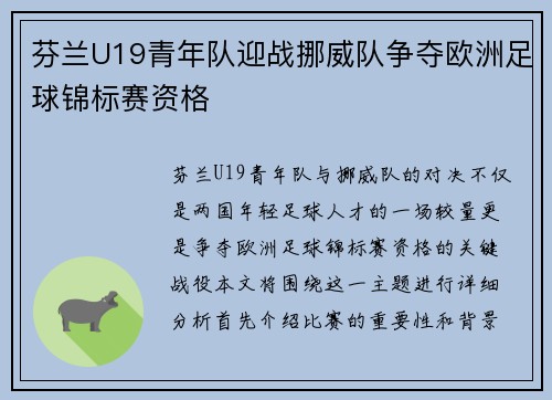 芬兰U19青年队迎战挪威队争夺欧洲足球锦标赛资格